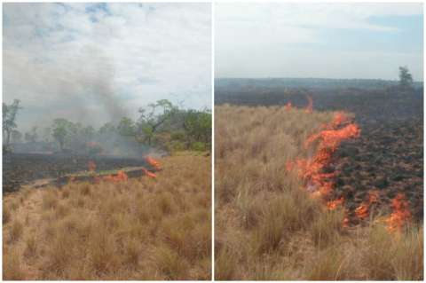 Autoridades buscan controlar incendio en Parque Nacional El Tuparro (Vichada)