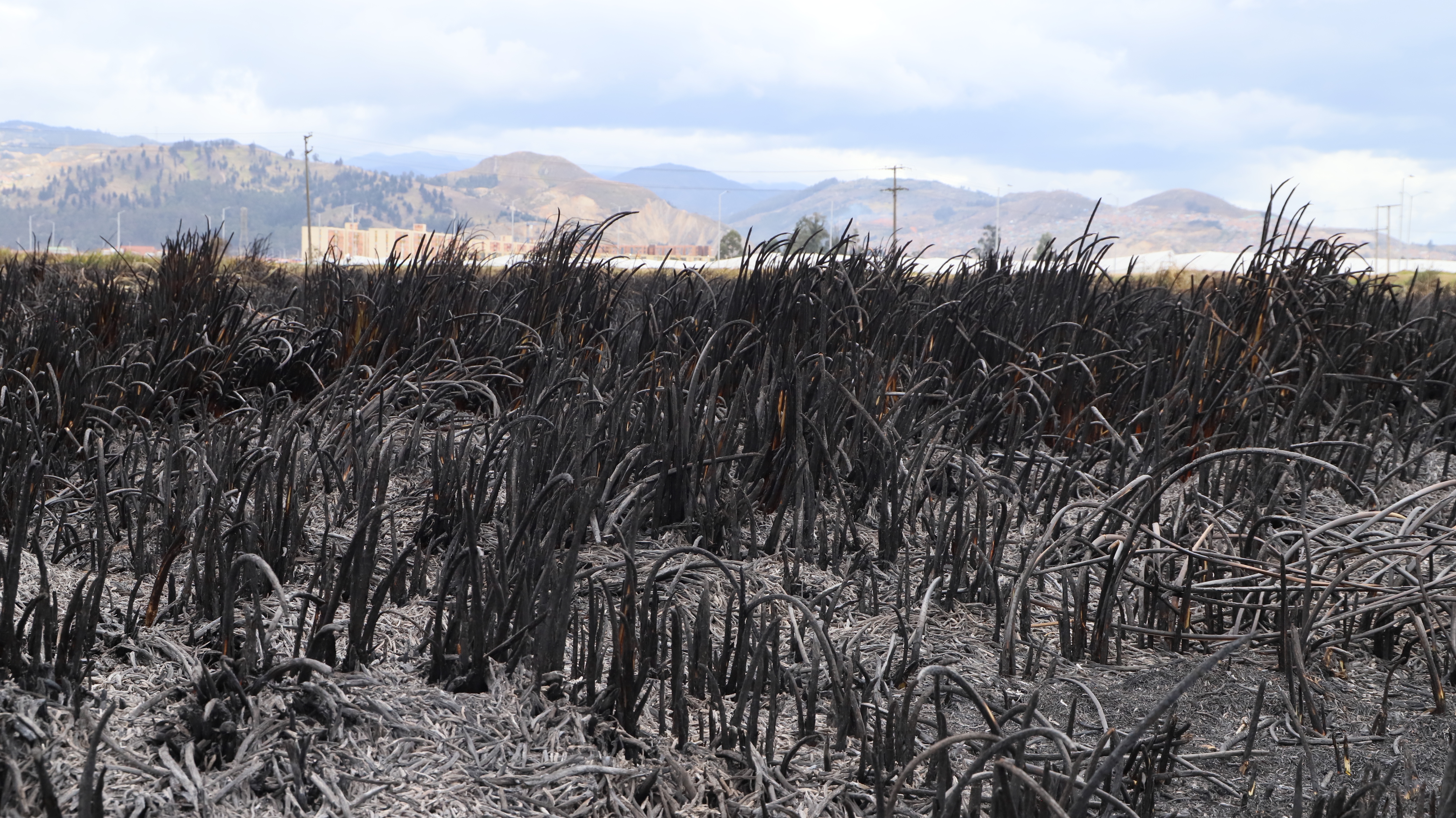 Los ciudadanos que observen una columna de humo o llamas deben informar a la Línea de Emergencias 123.