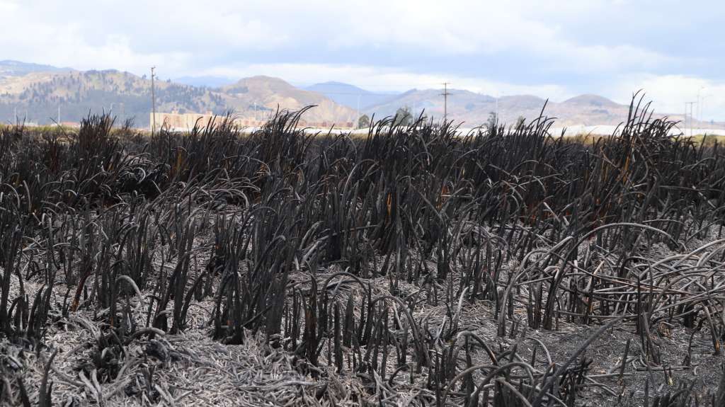 Los ciudadanos que observen una columna de humo o llamas deben informar a la Línea de Emergencias 123.