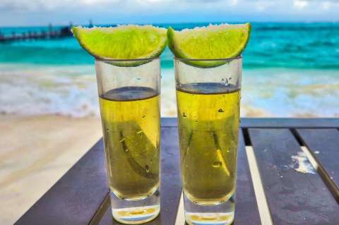 Tequila: descubre cómo escoger la mejor botella para cada ocasión