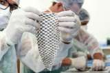 Reconstruyen una vagina con piel de tilapia