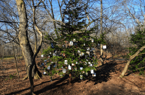 En Central Park, las mascotas son conmemoradas en un árbol de navidad