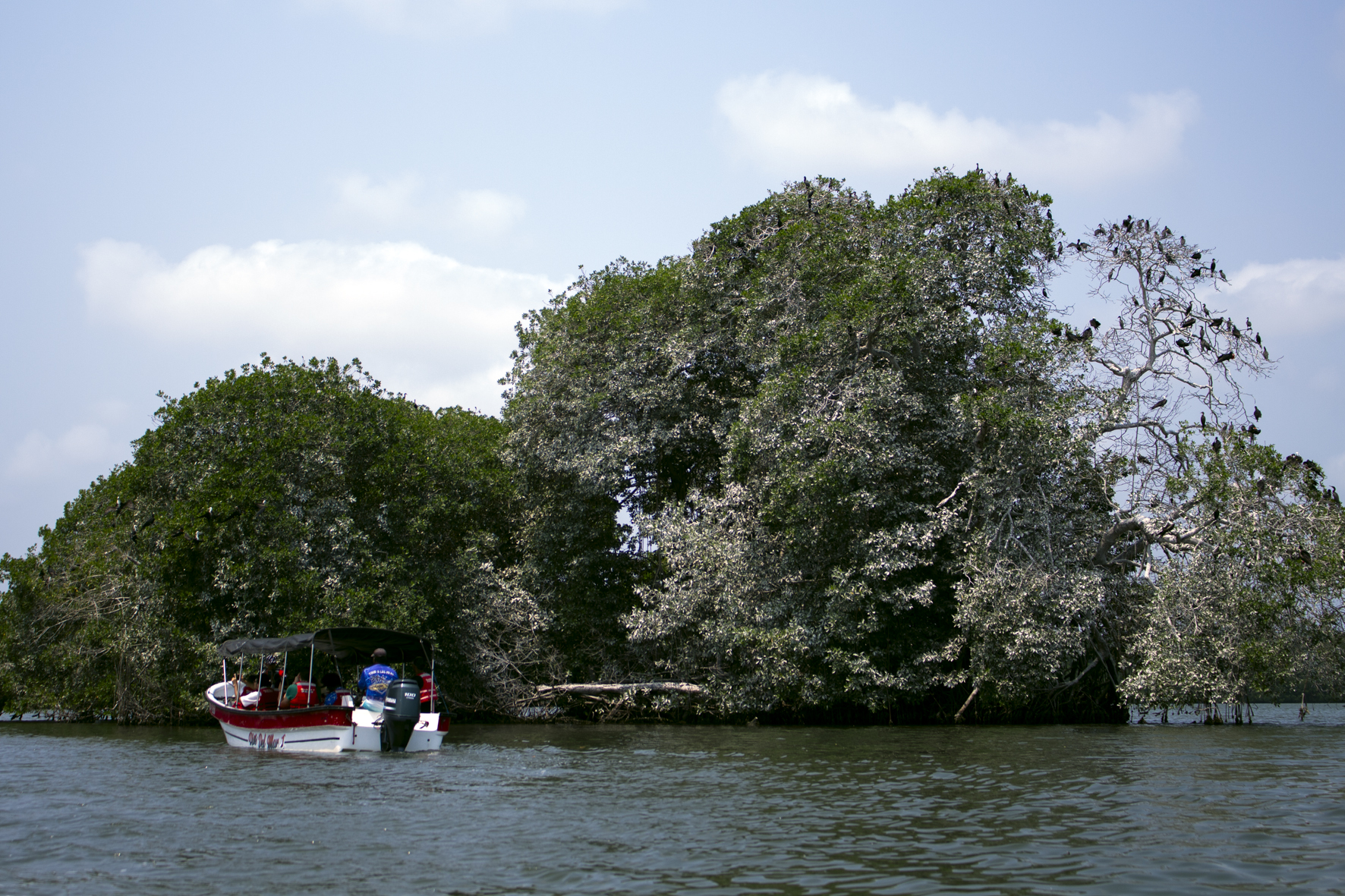 La Bahía de Cispatá, ubicada en las costas de San Antero, es el punto en donde se une el mar, el río y la ciénaga, y resguarda decenas de historias y leyendas que hacen de este lugar uno de los resguardos naturales y místicos del departamento.