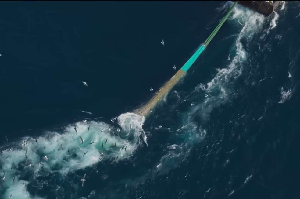 Como lo han advertido diferentes estudios científicos a lo largo de los últimos años, a pesar de su gran eficiencia, la pesca de arrastre tiene importantes efectos negativos sobre el fondo oceánico y las plantas, animales y microorganismos que habitan en este.