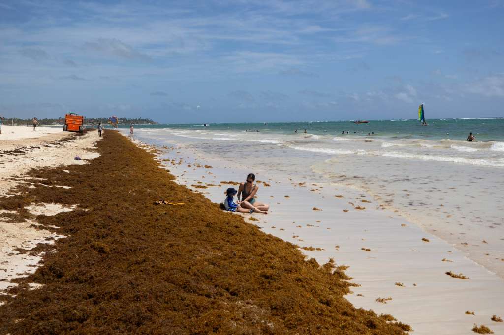 AMDEP8313. PUNTA CANA (REPÚBLICA DOMINICANA), 14/07/2025.- Personas se sientan en la playa junto a sargazo aglomerado, el 9 de julio de 2025 en Punta Cana (República Dominicana). República Dominicana libra una lucha sin cuartel contra el sargazo ante el aumento, una vez más, de su presencia en buena parte de la turística Punta Cana y otras partes del país. EFE/Orlando Barría