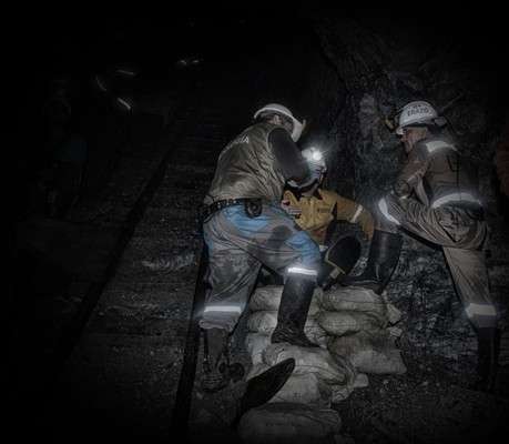 / Cortesía Ecoagromineros