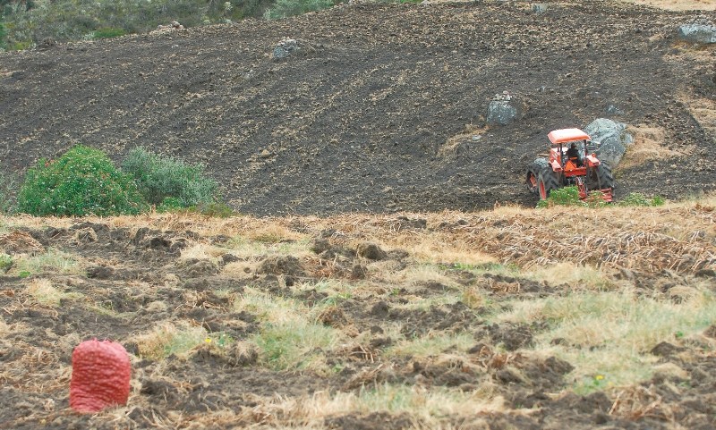 El dilema de la protección del páramo Cruz Verde – Sumapaz en Une, Cundinamarca