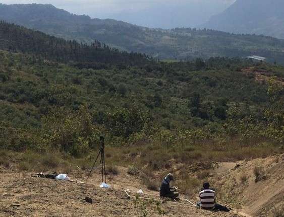 El fósil fue encontrado en la localidad Pico de la Vieja Sur, ubicada al noreste del municipio de Zapatoca, Santander.