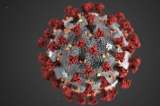 ¿Por qué es tan contagioso el nuevo coronavirus?
