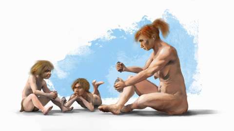 Descubren cómo hacían los neandertales para tratar las caries hace 59.000 años