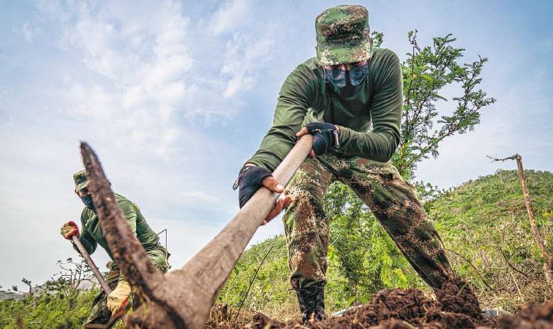 Artemisa: La respuesta militar del Gobierno a un problema ambiental
