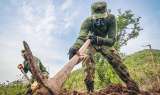 Artemisa: La respuesta militar del Gobierno a un problema ambiental