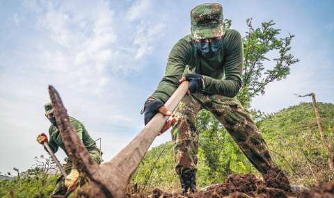 Artemisa: La respuesta militar del Gobierno a un problema ambiental