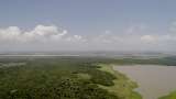 Isla de Salamanca: un parque se quema ante los ojos de Barranquilla