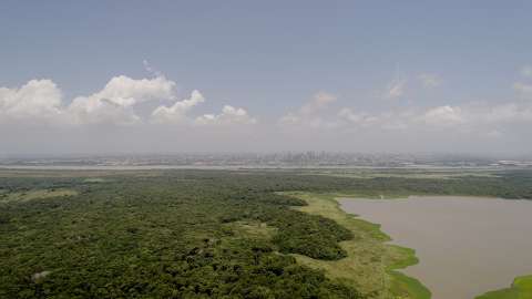 Isla de Salamanca: un parque se quema ante los ojos de Barranquilla