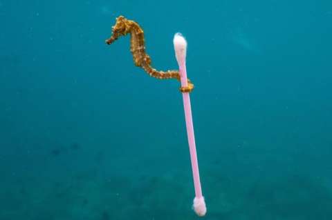 Recrear sonidos del océano con desechos plásticos, la campaña de Nat Geo para tomar conciencia