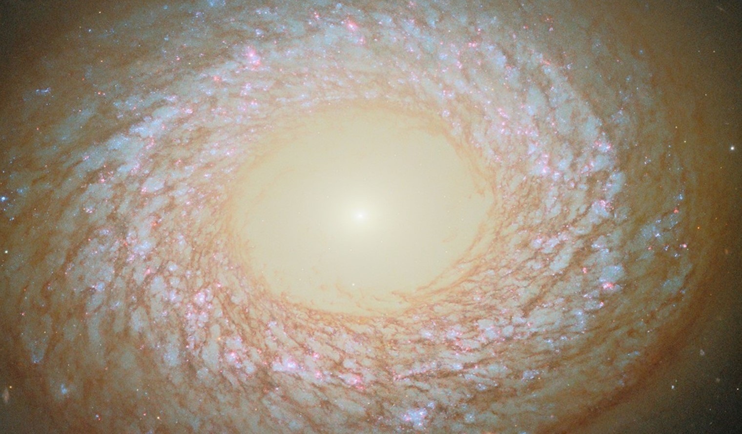 Esta imagen del telescopio espacial Hubble de la NASA/ESA muestra la galaxia NGC 2775.