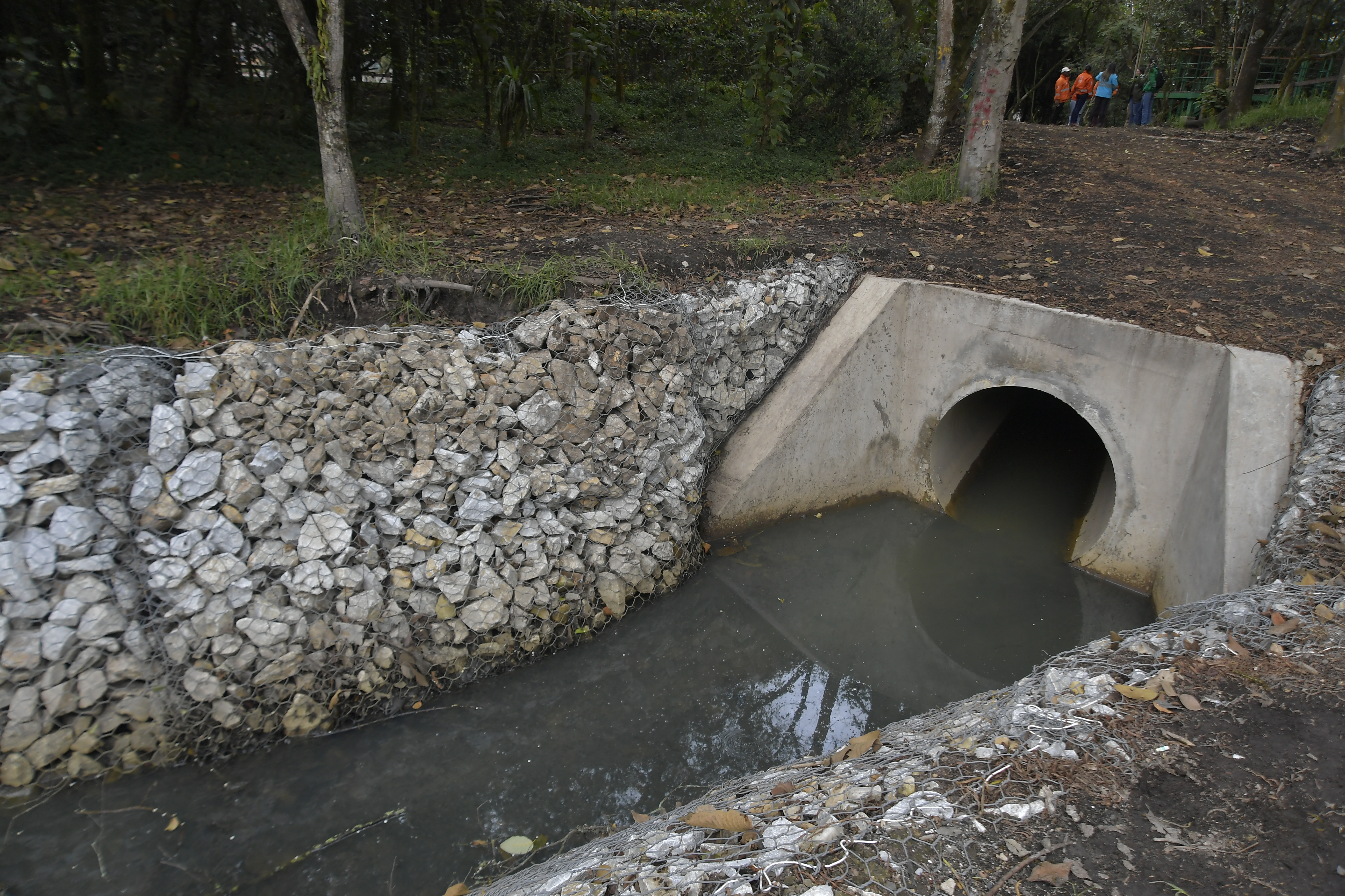 Recorrido por este humedal ubicado en la localidad de Suba.
