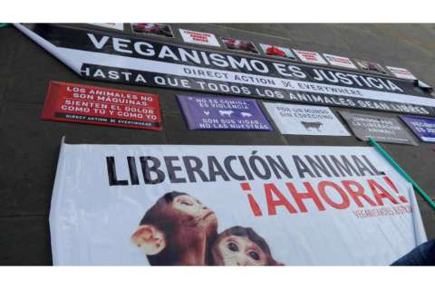 Los famosos que apoyaron la marcha ‘Colombia sin toreo’