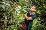 Agro colombiano en EE. UU.: lo que le espera al sector con los aranceles de Trump