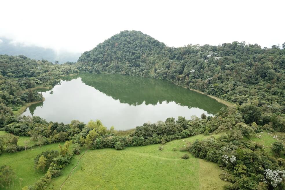 Cortesía