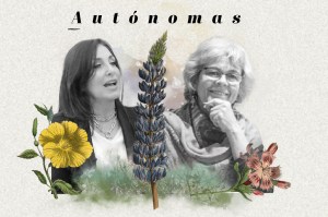 Pautas para el cubrimiento periodístico no sexista para las elecciones de 2022