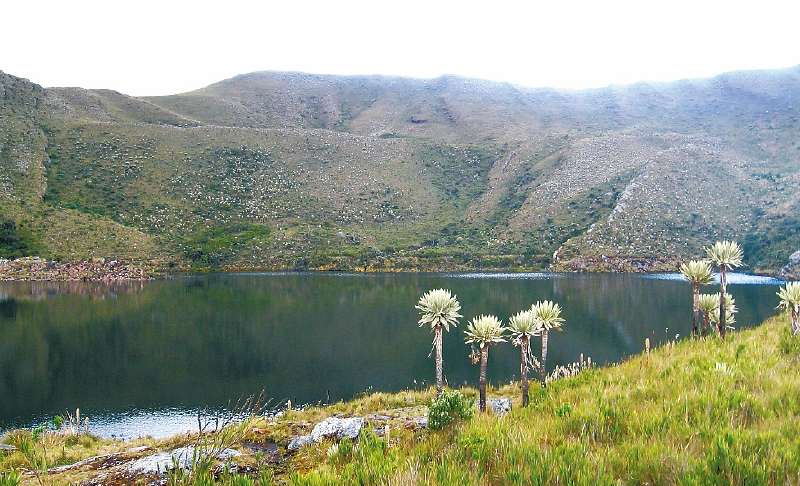 El páramo de Chingaza provee de agua a 7’396.524 personas.