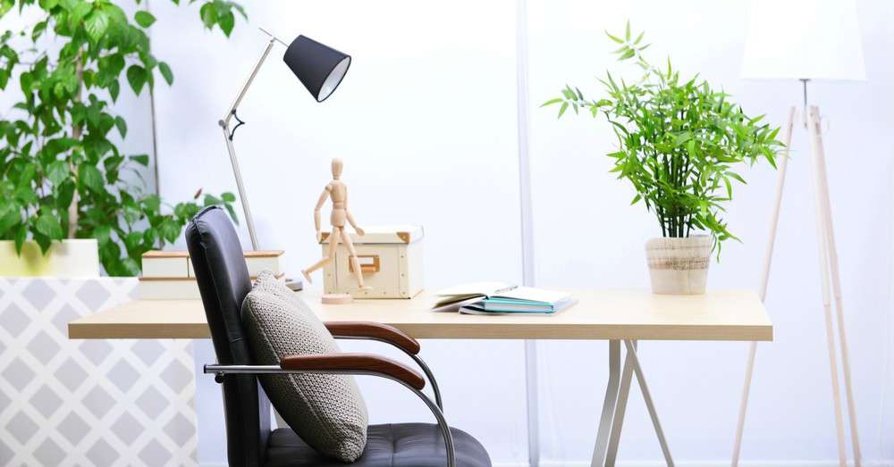 Las plantas Sansevieria trifasciata (Lengua de suegra), Epipremnum aureum (Pothos), Zamioculcas zamiifolia (Zamioculca), Chlorophytum comosum (Cinta) y la Dracaena marginata (Drácena) son algunas de las más pertinentes para oficinas.