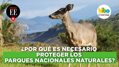 ¿Por qué es necesario proteger los Parques Nacionales Naturales?