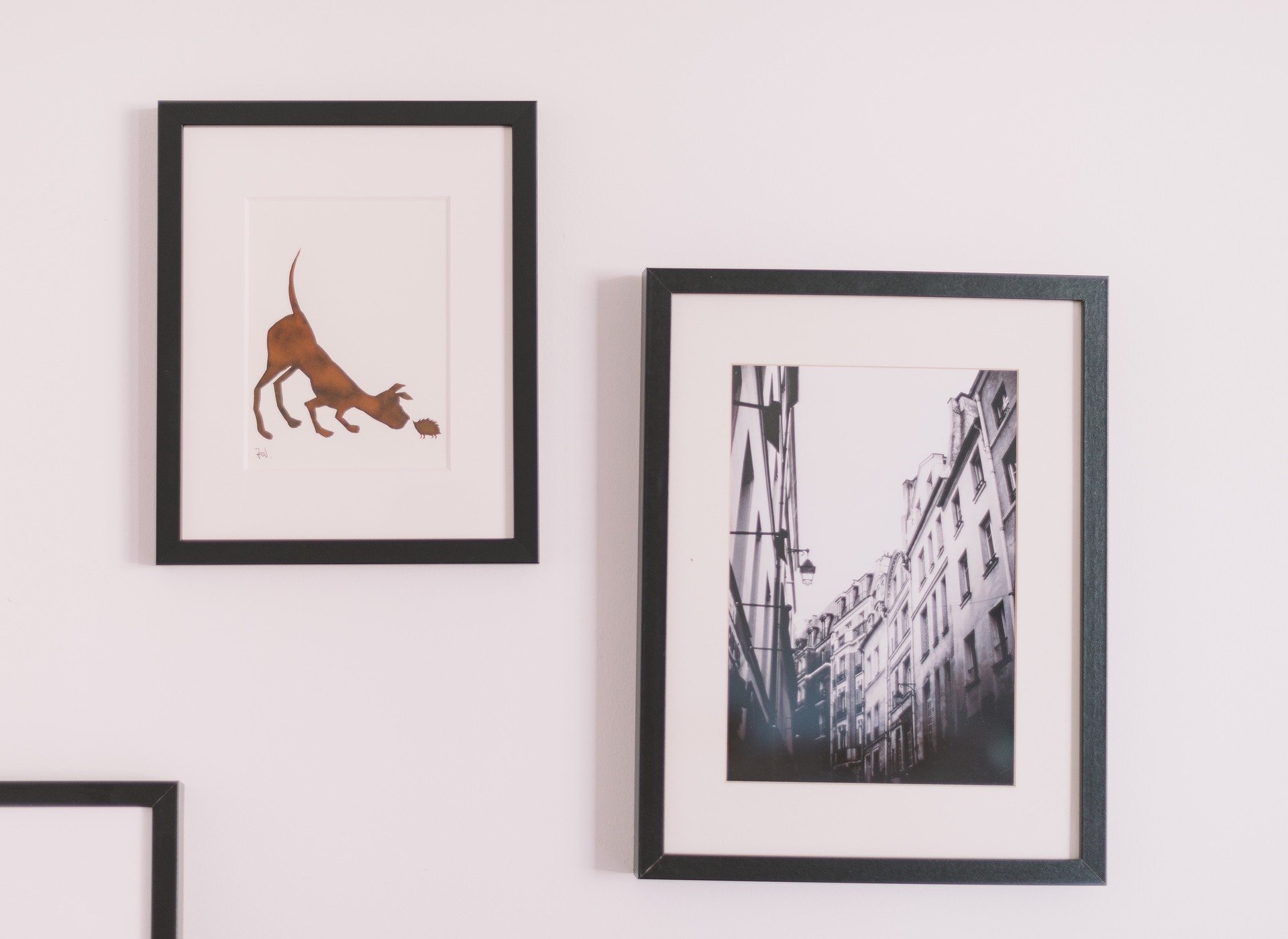 Decoración fotos, fotografías