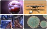 Estos son los avances científicos más destacados del 2021