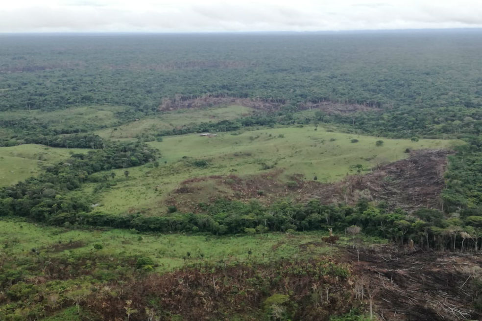 La Macarena (Meta), San Vicente del Caguán (Caquetá) y Tibú (N. Santander) representan el 46 % de las alertas. En la foto, PNN Tinigua. / Lilian Mondragón. Dirección de Bosques MADS.