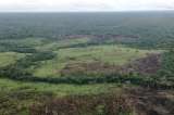 Se disparó la deforestación en La Macarena