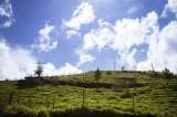 Anuncian formalización masiva de dos mil predios rurales en Boyacá