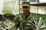 Los soldados reforestadores del Páramo de Chingaza