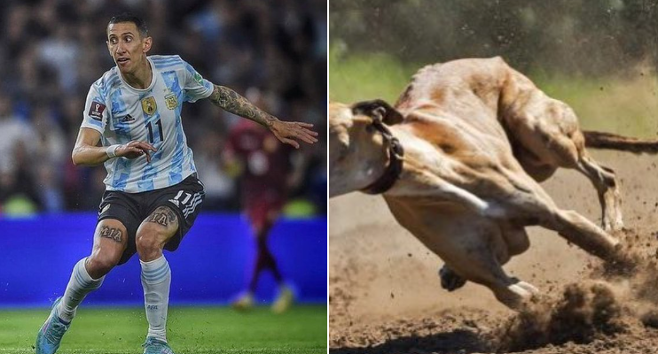 Di María