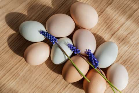 4 alimentos que no deberías lavar antes de cocinarlos o comerlos