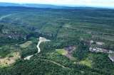 Los bosques absorben el doble de carbono del que liberan cada año