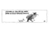 Thumor