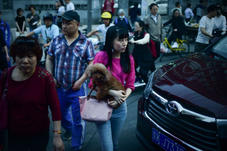 Las curiosas (¿extremas?) formas como China intenta disminuir muertes de peatones