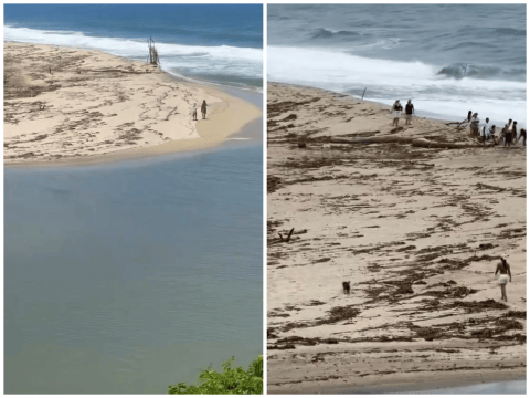 Polémica por turistas que entraron a playa prohibida y con caimanes en el Tayrona