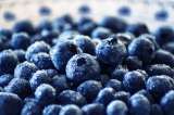 5 beneficios de comer arándanos todos los días