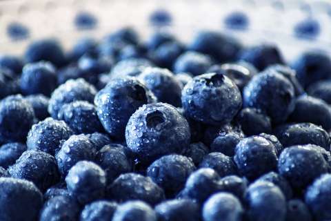 5 beneficios de comer arándanos todos los días