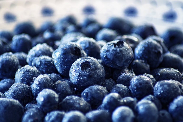 Los arándanos no serían azules, ¿por qué?