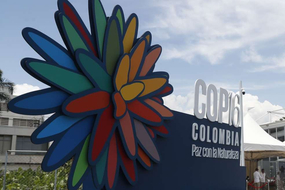 COP16: los temas más importantes del cuarto día de la conferencia