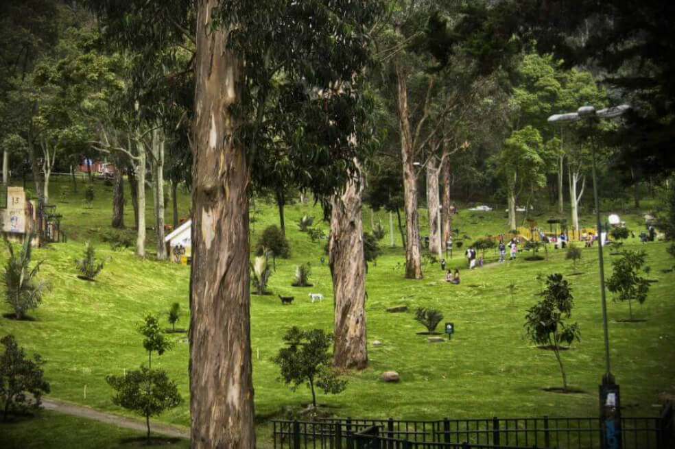 Los presuntos agresores acechaban a sus víctimas en la parte alta de el Parque Nacional. / Archivo El Espectador
