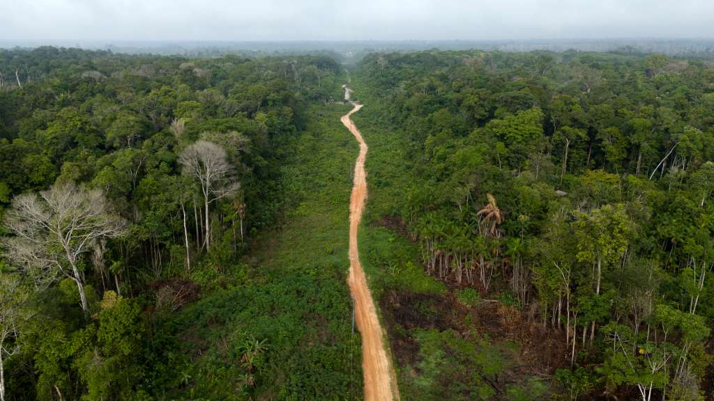 Aerial view of land for sale after being affected by forest fires in the prime area of Breves, in the Amazon region of the Marajo archipelago, Para State, Brazil, taken on December 9, 2024.