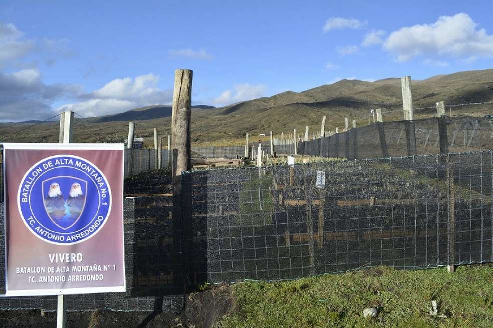 El vivero del Batallón cuenta ahora con 10 mil frailejones trasplantados gracias al apoyo de los Andes, una mano brindada por Colciencias y más expertos de la Universidad Javeriana.
/ Tomado de página oficial del Ejército Nacional.