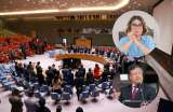 Consejo de Seguridad de ONU sigue apoyando paz de Colombia, pero pide resultados más concretos