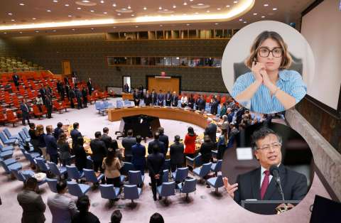 Consejo de Seguridad de ONU sigue apoyando paz de Colombia, pero pide resultados más concretos